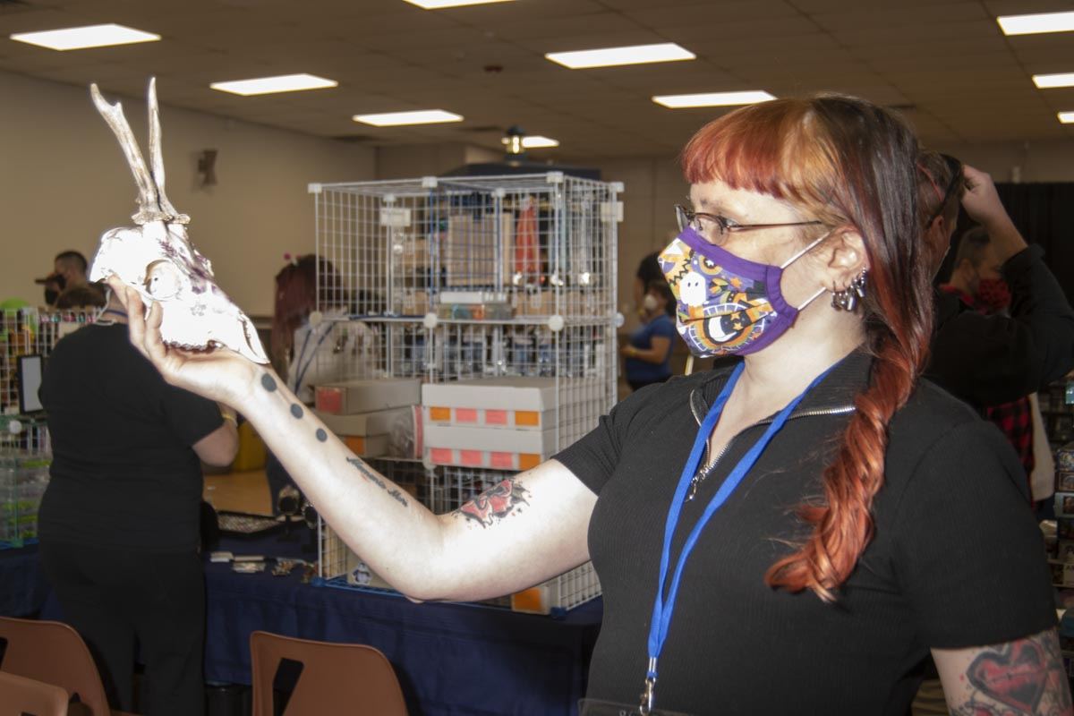 Carleton Place Comiccon